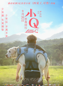 精品一区二区在线观看